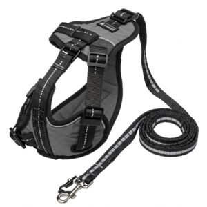 Arnés Antiescape Acolchado con Correa Reflectante
